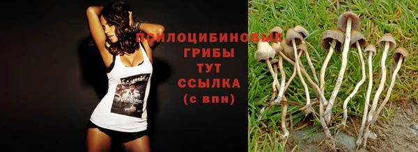 jwh Баксан